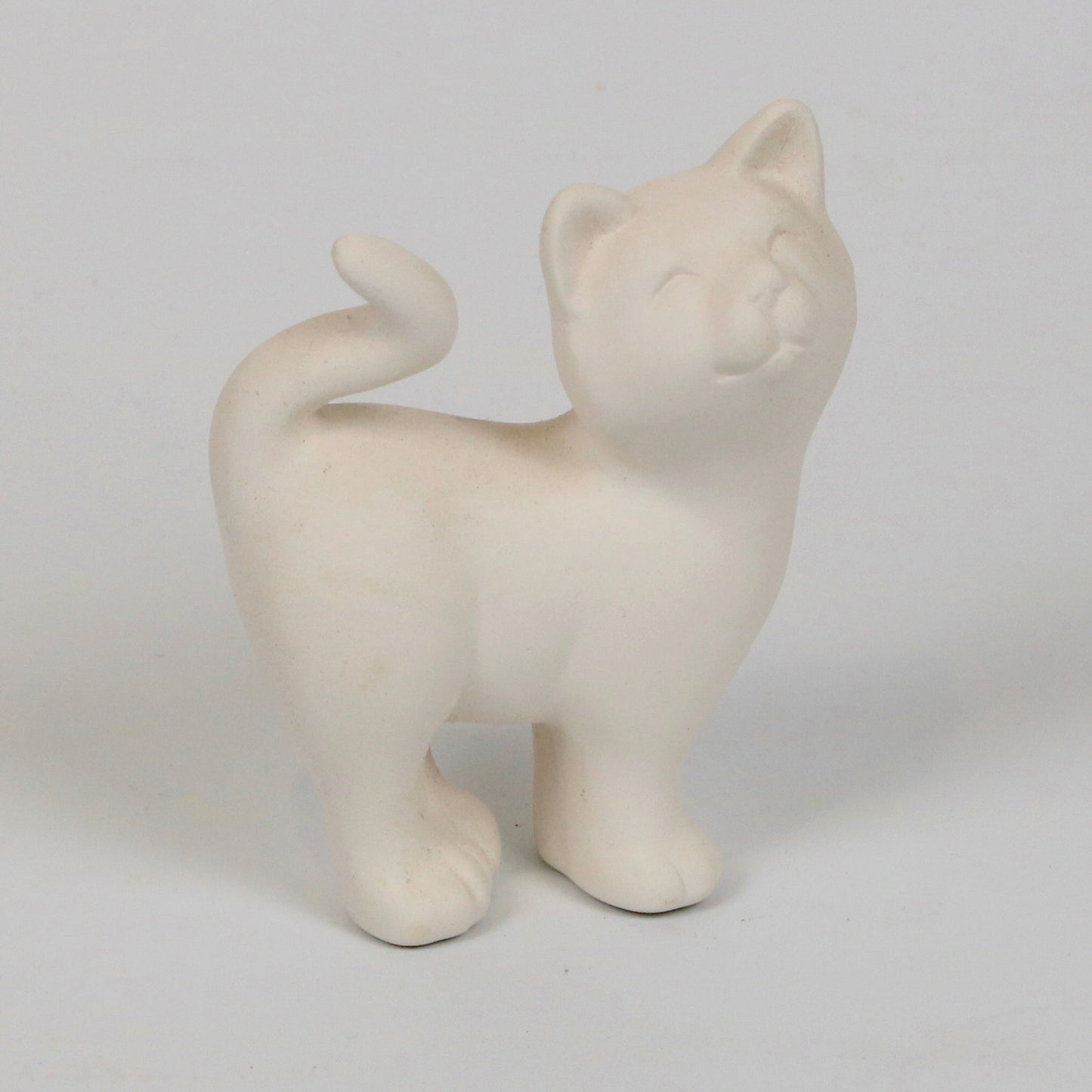 Katzenbaby stehend